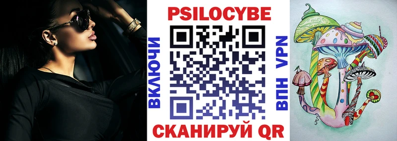 Псилоцибиновые грибы Psilocybe  Купить закладки  Пятигорск 